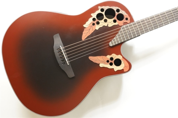 The Celebrity Collection Celebrity Elite Exotic Mid Depth【CE44-RRB】